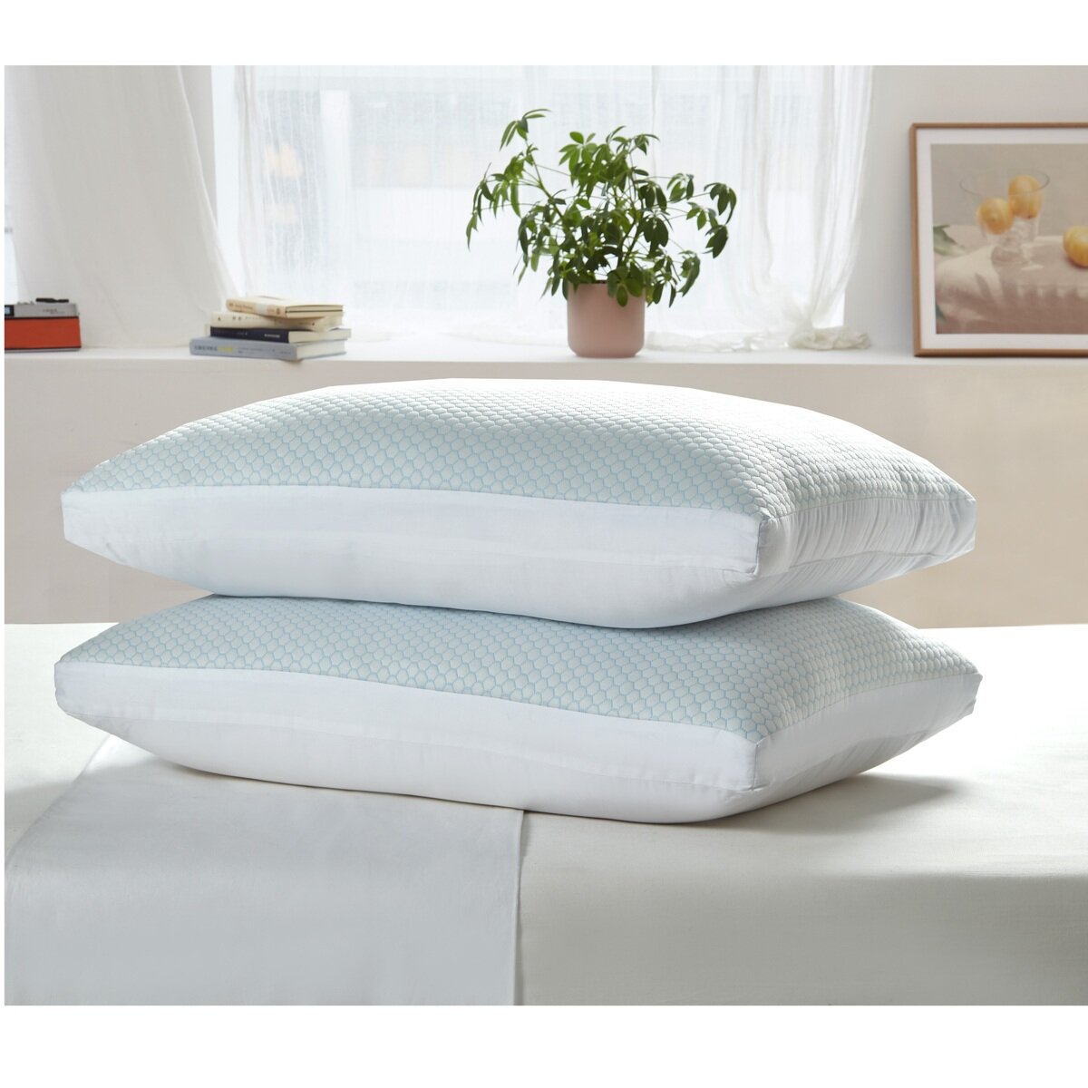 冷感リバーシブル枕 2パック | Costco Japan