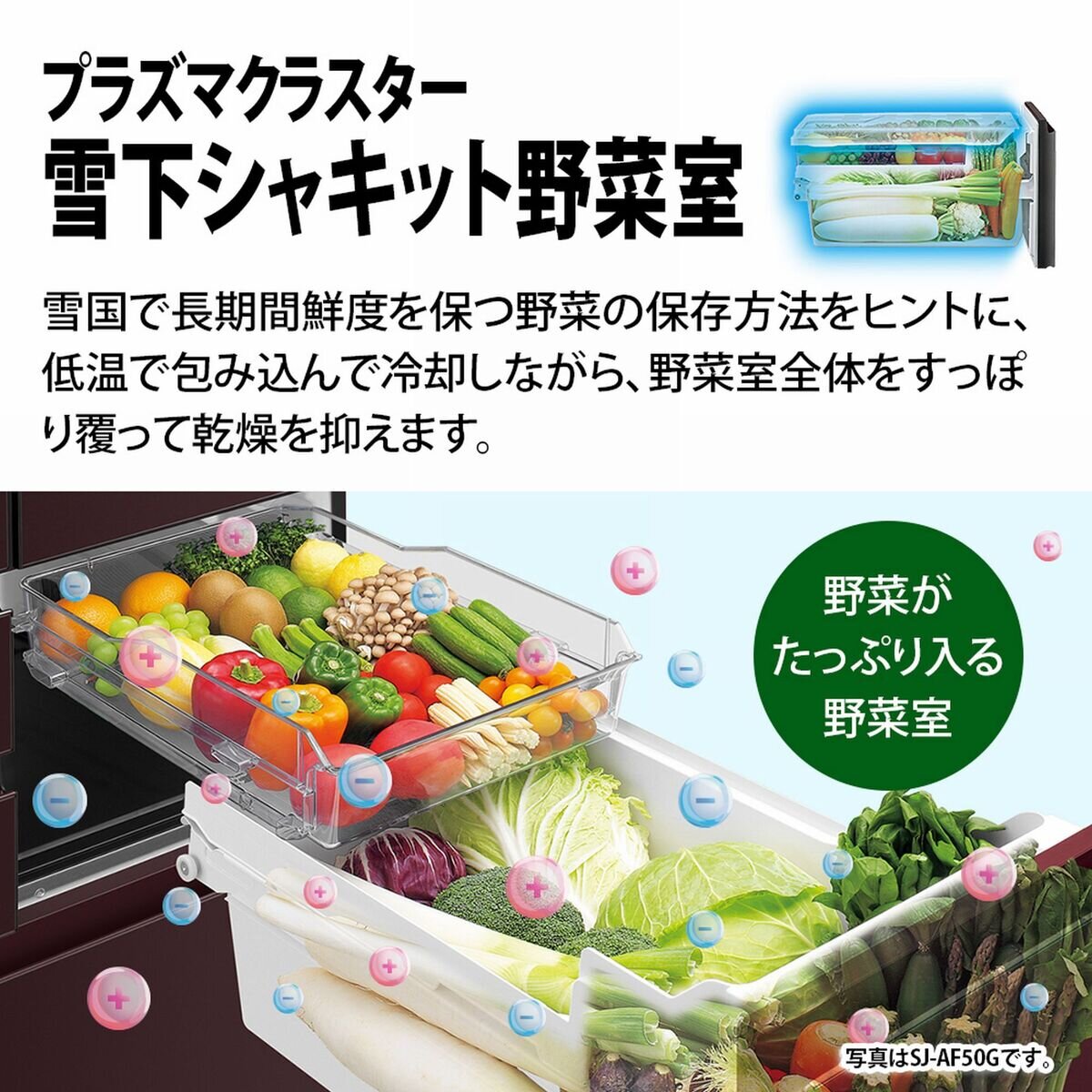 シャープ 502L 冷蔵庫 SJ-AF50G