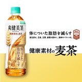 爽健美茶 健康素材の麦茶 600ml x 24本 x 2ケース ペットボトル