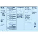 ブリタ カラフェ型浄水器 フィル＆サーブ カートリッジ3個付き