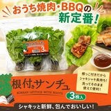 根付きサンチュ3株入 根付きサンチュ3株入