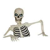 ジャイアント グラウンドブレイキング スケルトン ジャイアント グラウンドブレイキング スケルトン