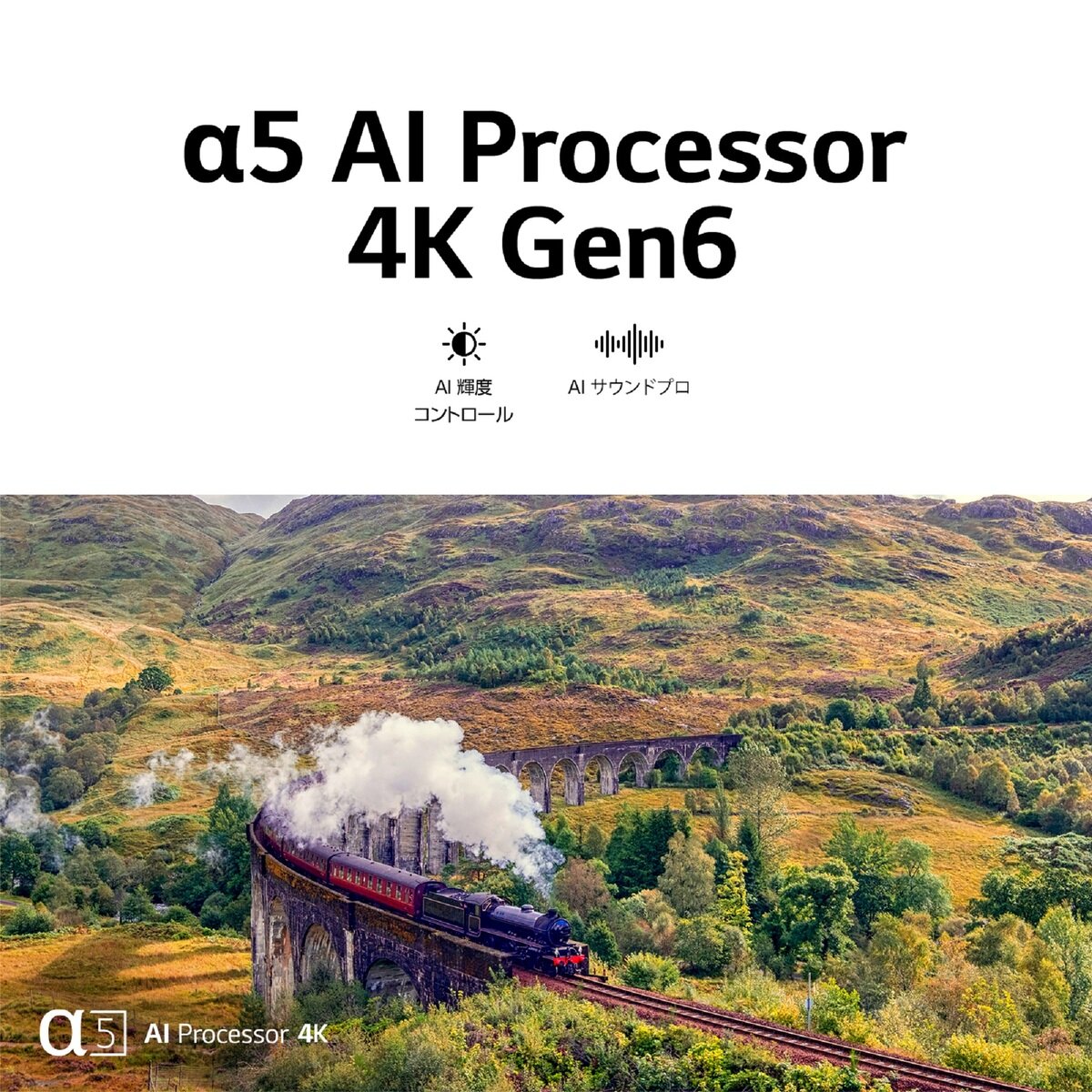 LG 43インチ 4K 液晶テレビ 43UR8000PJB