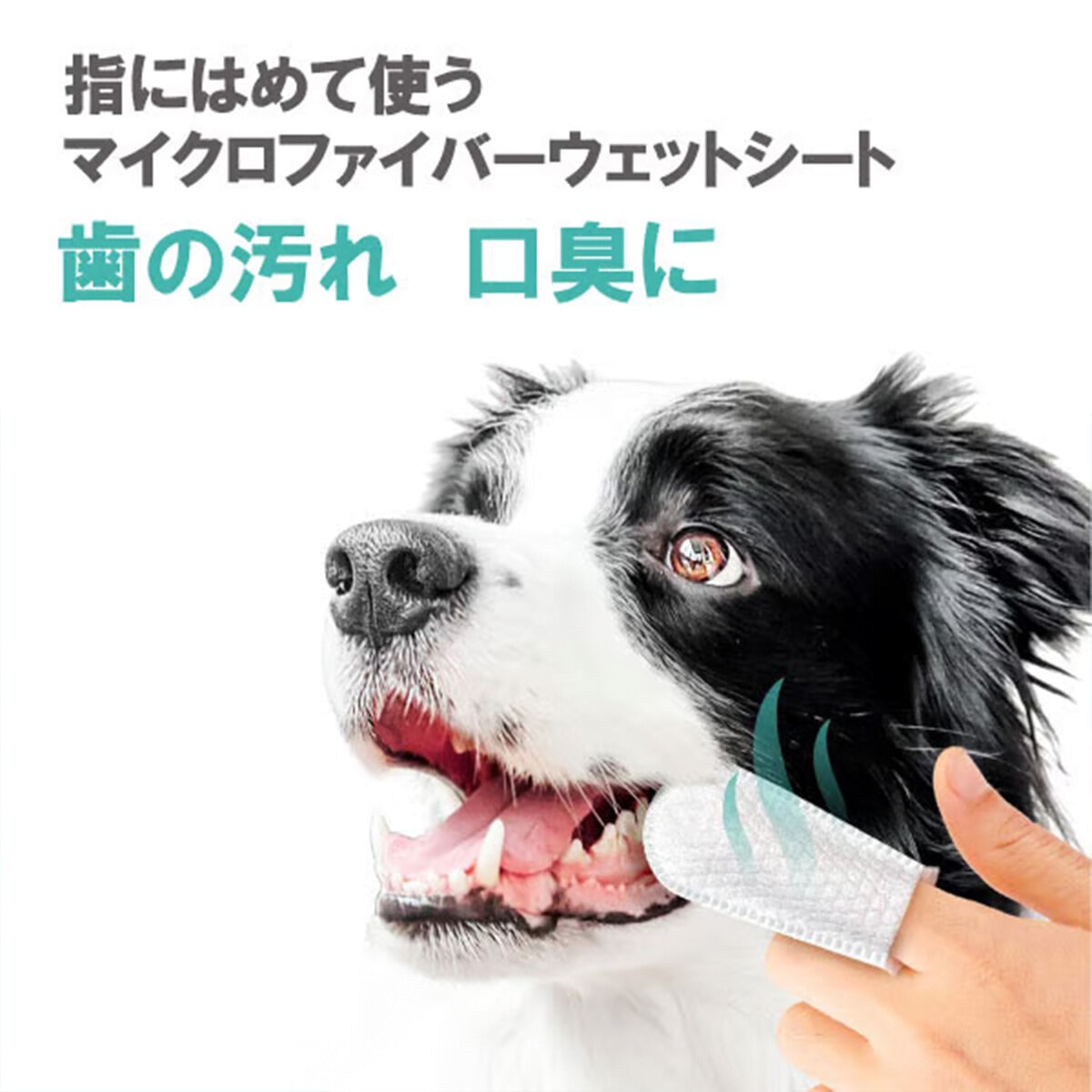 Petkin フィンガーティップワイプ 歯用 ミント味