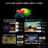 LG 77インチ 4K有機ELテレビ OLED77B6MJA LG 77インチ 4K有機ELテレビ OLED77B6MJA