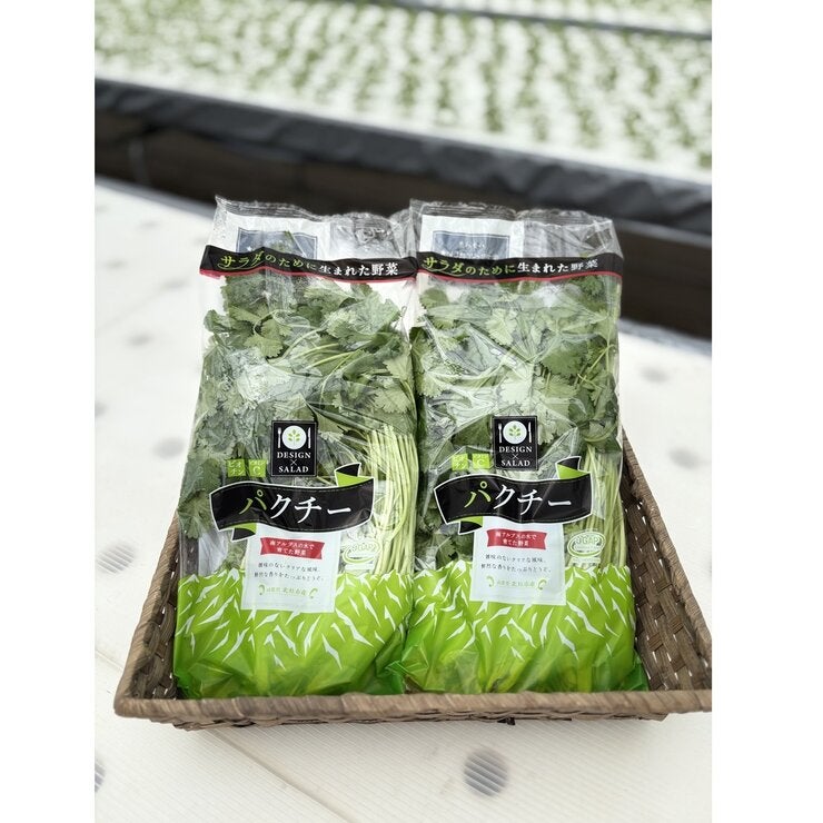 国産パクチー 200g 国産パクチー 200g
