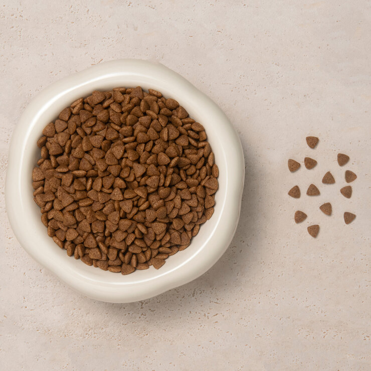 Palmy Days キャットバーン 4kg 愛猫用 Palmy Days キャットバーン 4kg 愛猫用