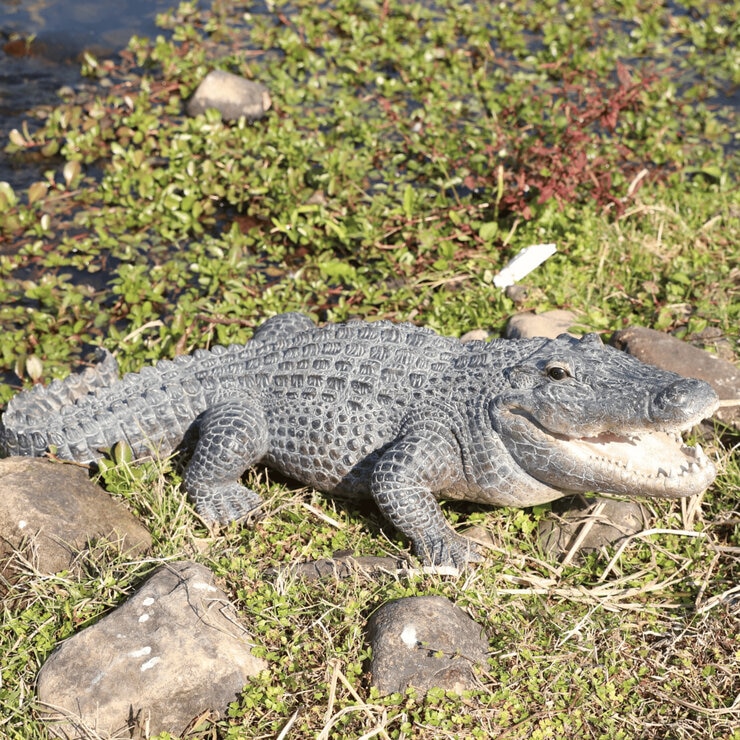 ウービア 餌を待つワニの置物 特大 H13177