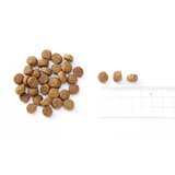 チャーム グラスフェッドラム 10kg