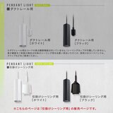 Edison Smart（エジソンスマート）ペンダントライト 引っ掛けシーリング用 ブラック RST-PL02BK