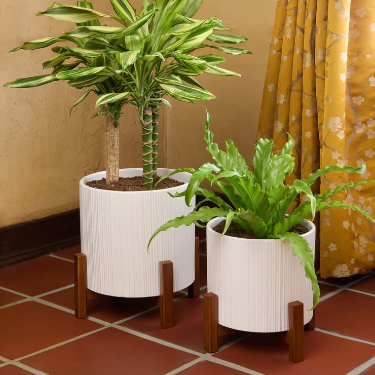 Mullally スタンド付き 陶器プランター 2個セット (26cm ＆ 24.6cm)