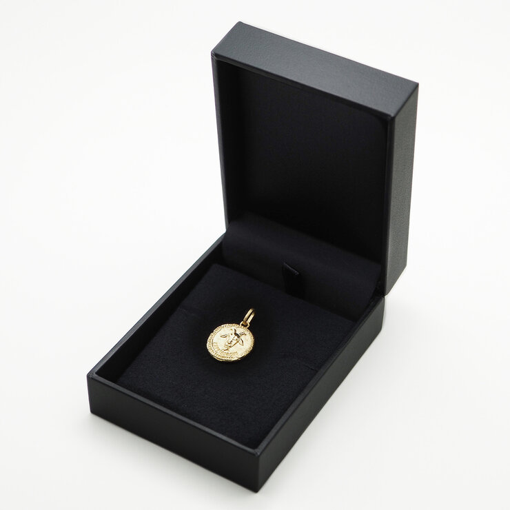 18Kイエローゴールド 星座ペンダントトップ やぎ座