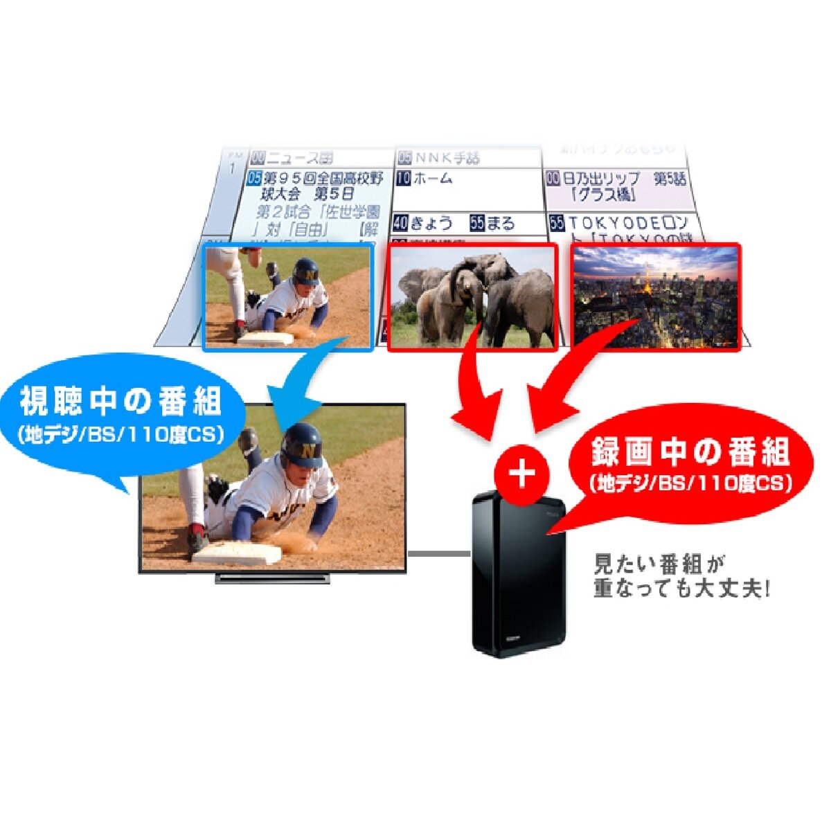 東芝 レグザ 55インチ 4K HDR液晶テレビ 55M530X
