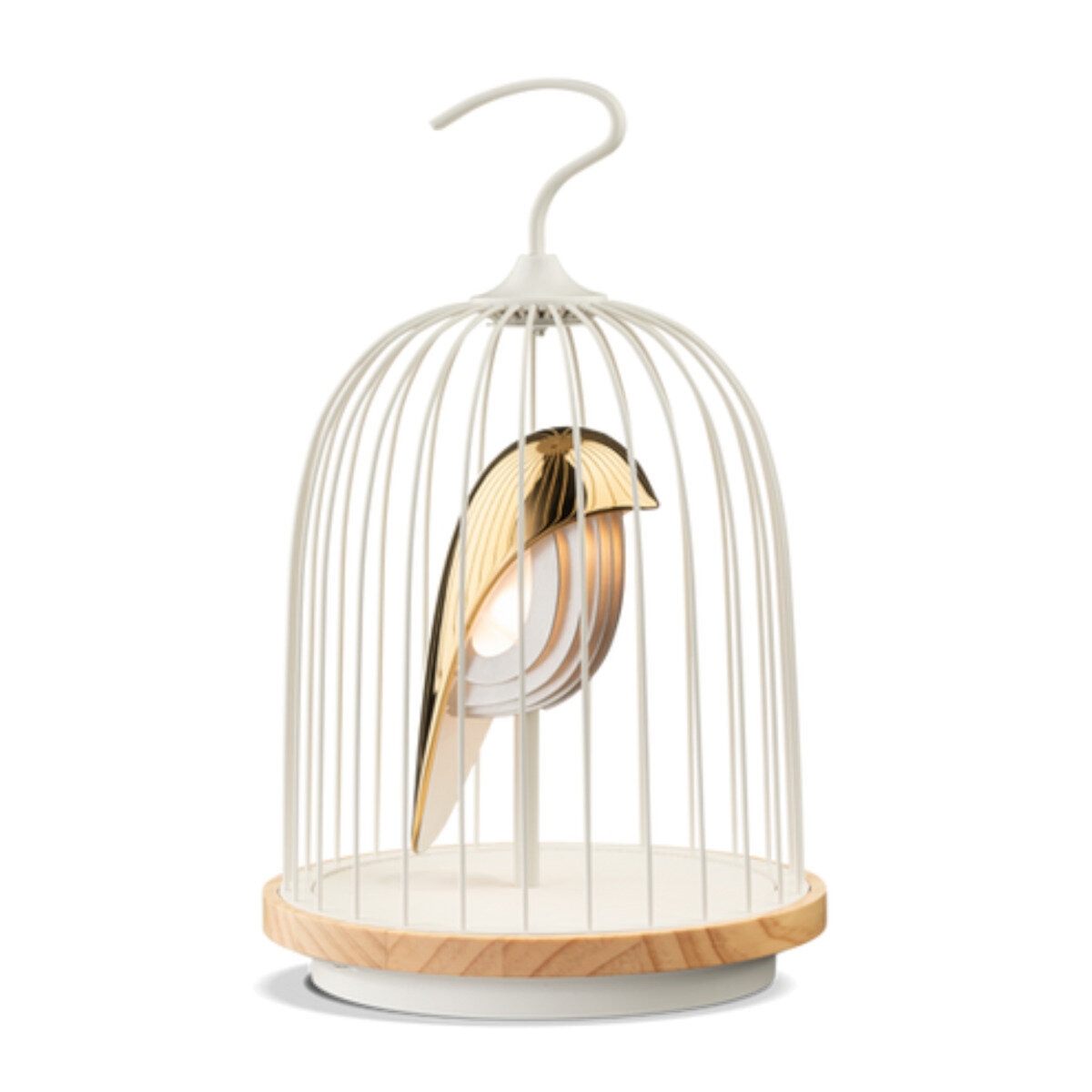 ダキコンセプトジングー Bluetoothスピーカー＆LED照明ホワイトファメイ ダキコンセプトジングー Bluetoothスピーカー＆LED照明ホワイト