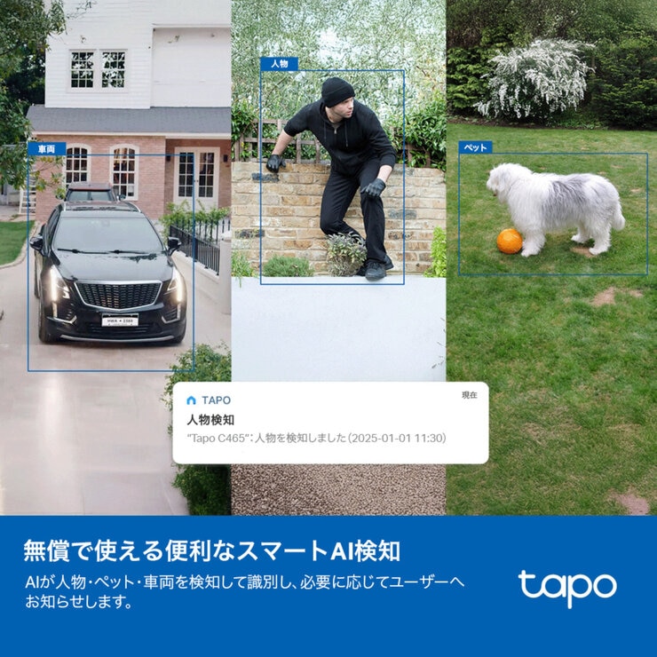 TP-Link Tapo スマートホームベース（H500）& 防犯カメラ(C465KIT 2個セット)