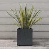 ヤマテー ベータ キューブプランター XS 28cm グレー ZZ-C14H28E
