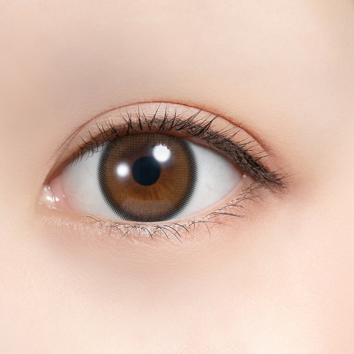 フェリアモ ワンマンス ウーロンティー 2枚入り 白石麻衣イメージモデルカラコン 度なし (±0.00)