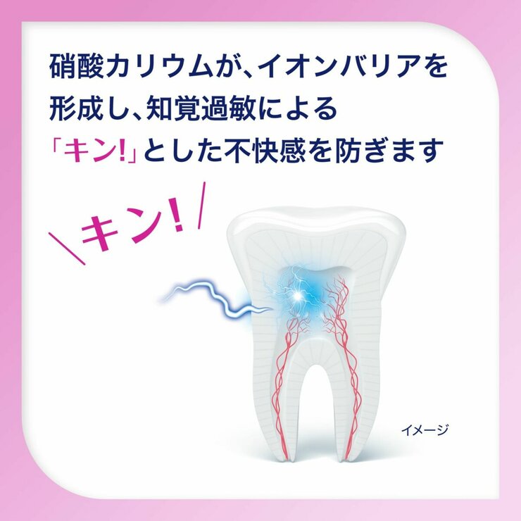 薬用シュミテクト歯周病ケア 100g x 5 薬用シュミテクト歯周病ケア 100g x 5
