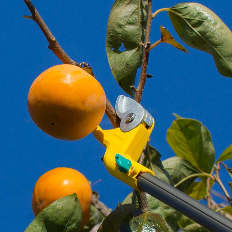 ムサシすご腕プッシュカット 2段式アンビル刃 521