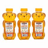 カークランドシグネチャー はちみつ　ベアージャグ 750g x 3本