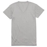 ミズノ メンズ Vネック Tシャツ 2枚組
