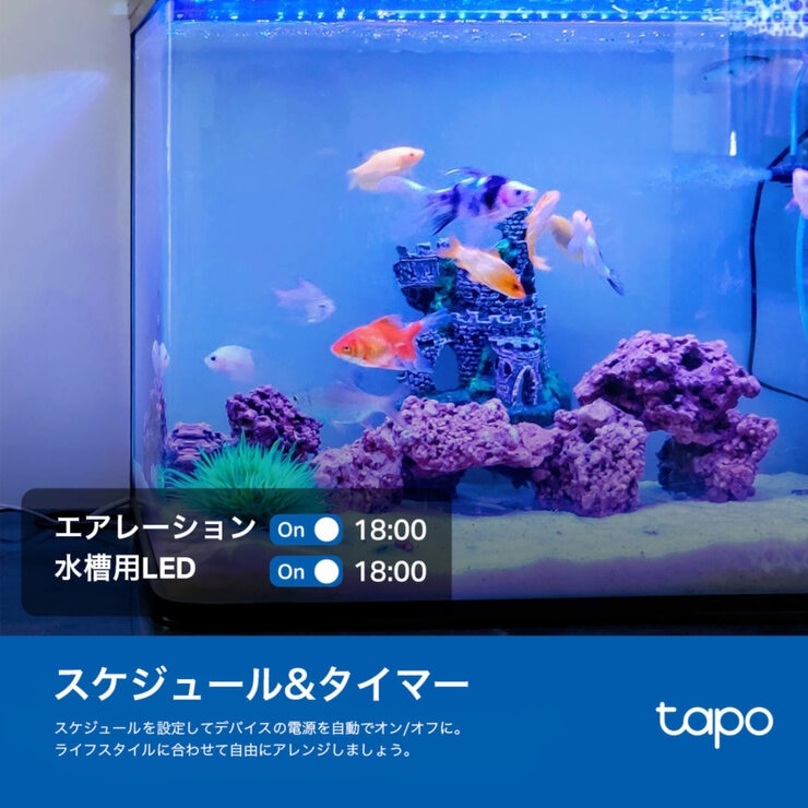 TP-Link tapo スマートWi-Fi電源タップ P300