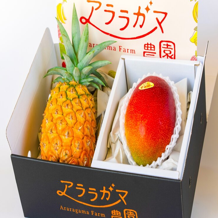 パイン＆マンゴーセット 1.4kg | Costco Japan