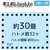 アイネット #3000ブルーシート 5.4 x 9.0m