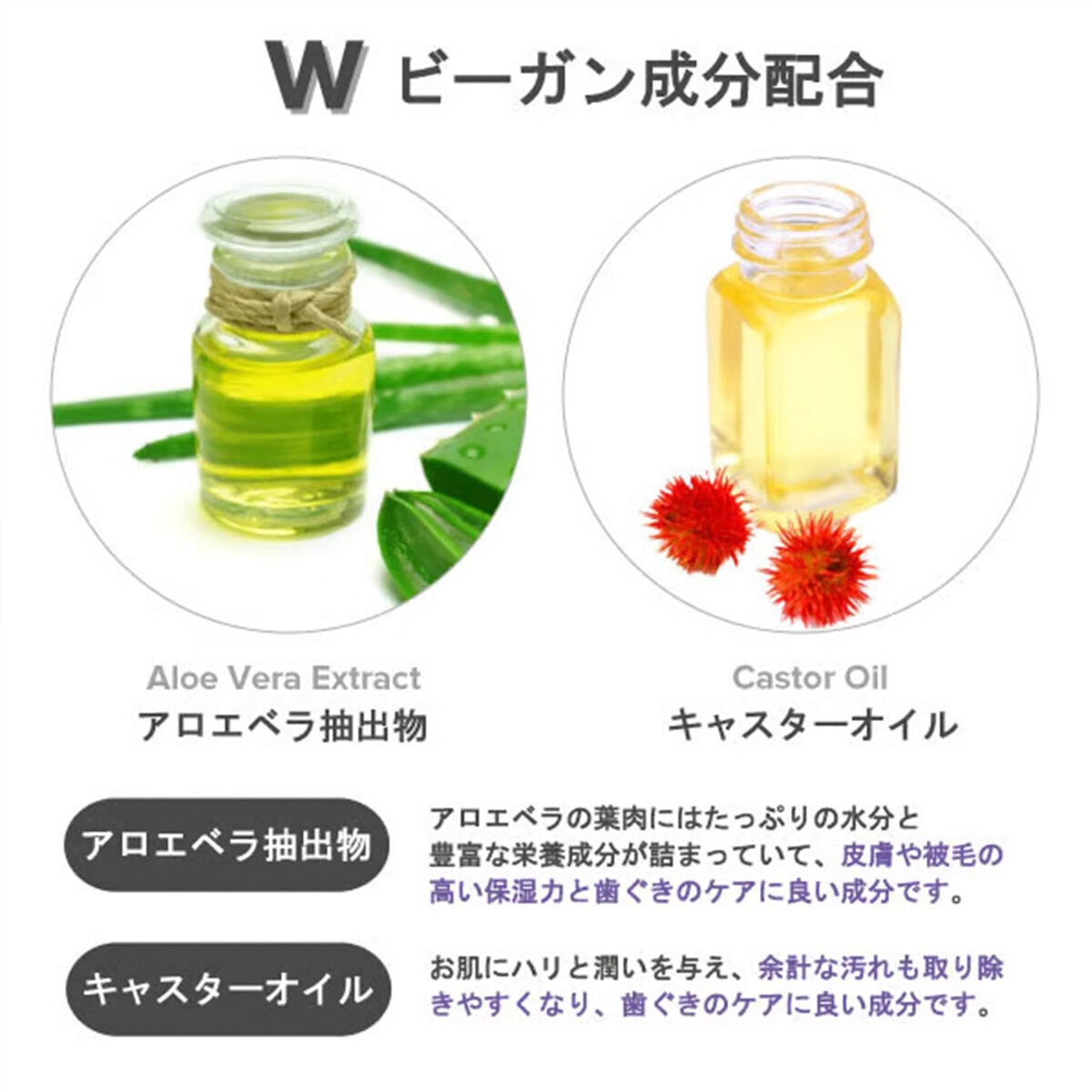 PAUL MITCHELL Pet 目と耳とボディと歯のウェットシート