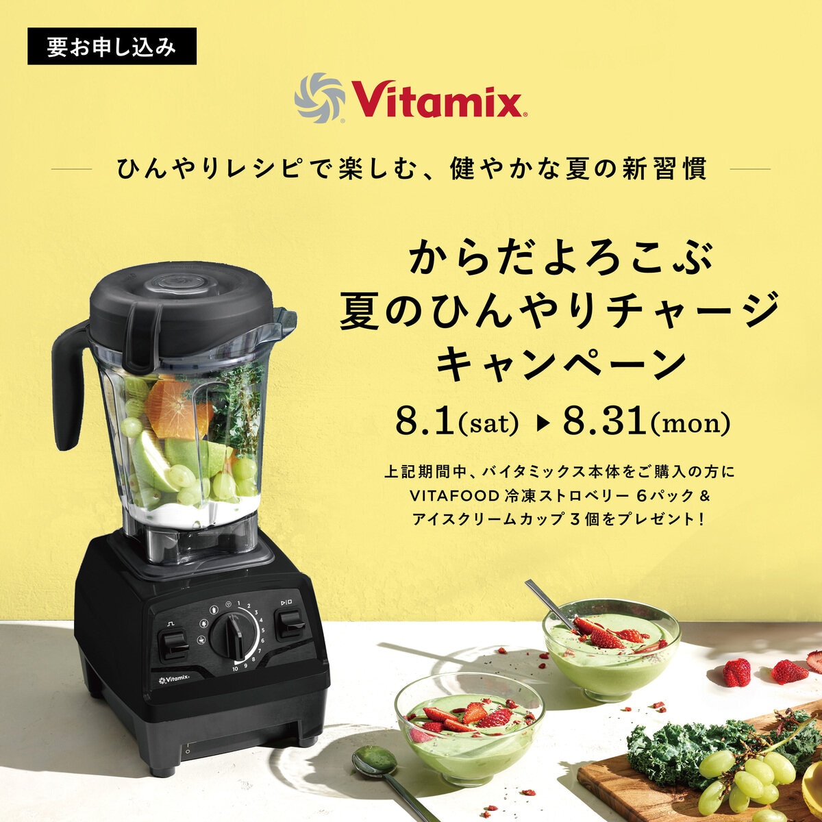バイタミックス E520 Explorian Blender バイタミックス E520 Explorian Blender