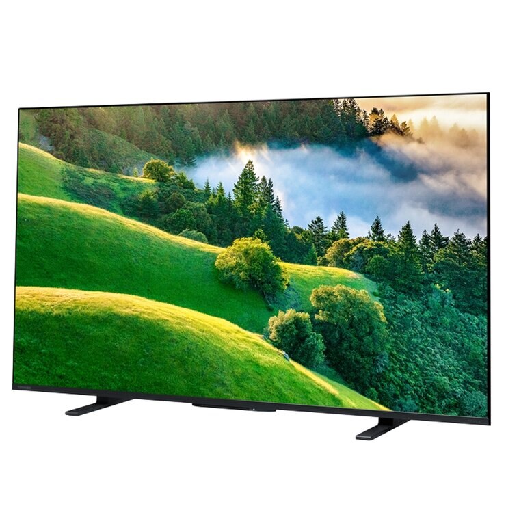 レグザ 50インチ 4K 液晶テレビ 50M550L