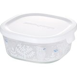 イワキ ニューパック & レンジ シンジカトウシリーズ 450ml 2点セット プチボア