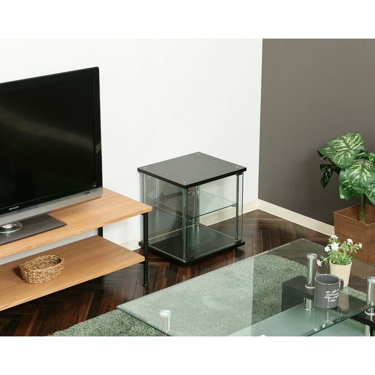 ガラスコレクションボックス ブラック