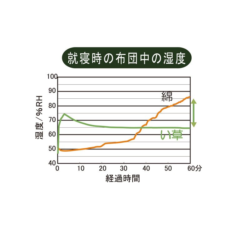 い草 ベッドパッド シングル グリーン