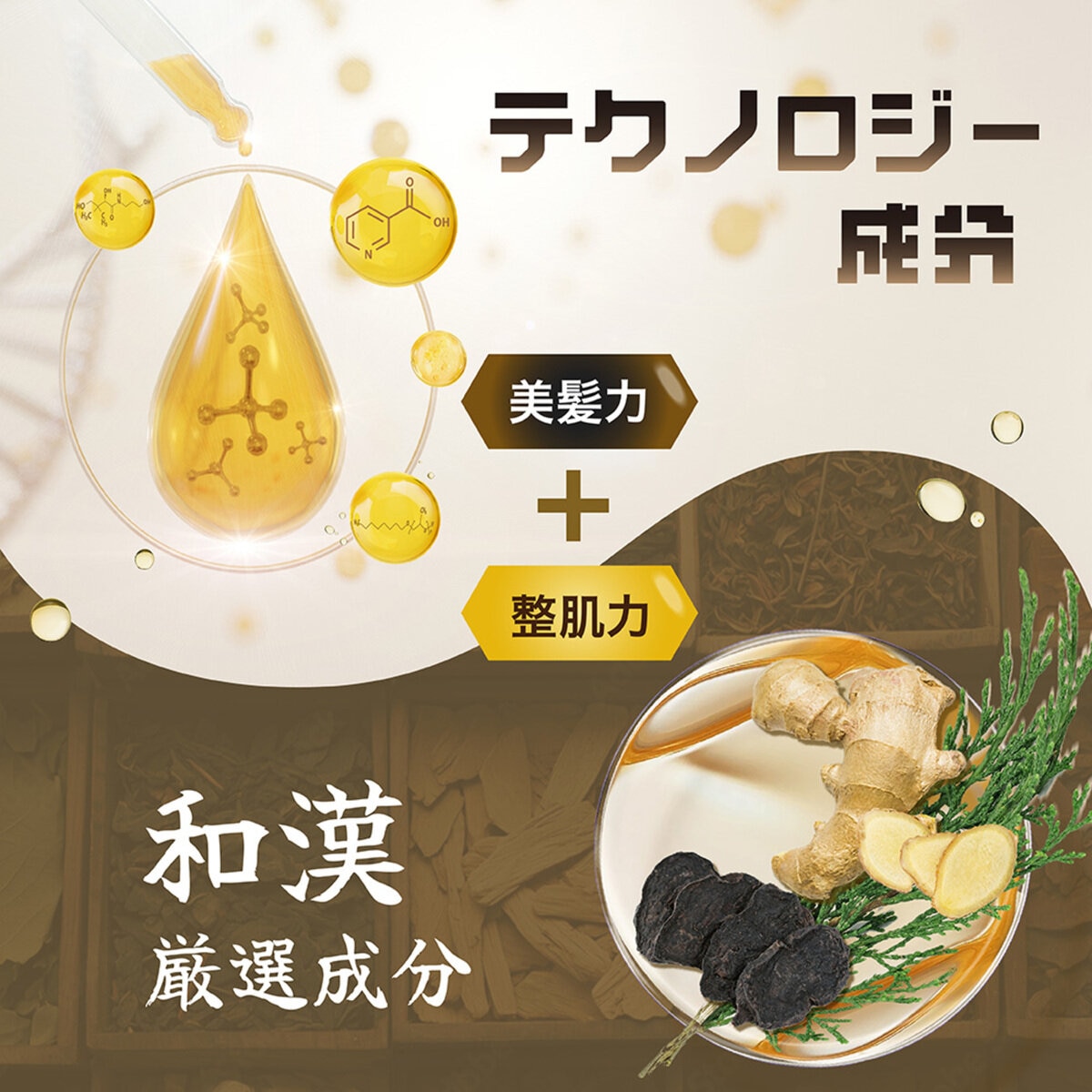 Seika 全シャンプー 400ml x 2