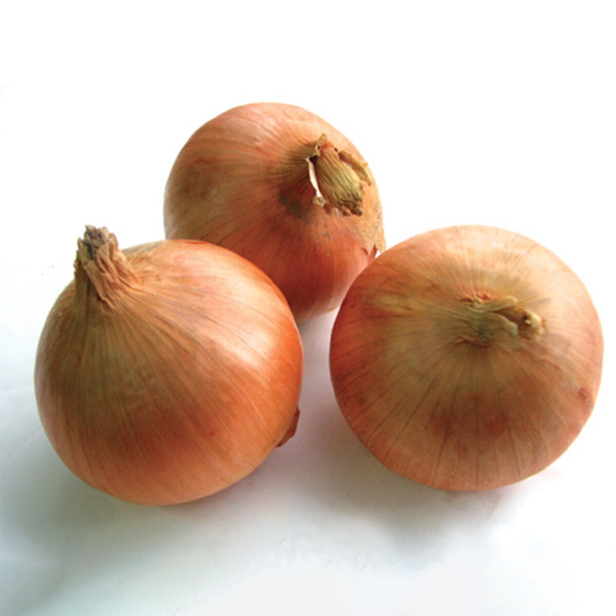 越冬玉ねぎ 3kg