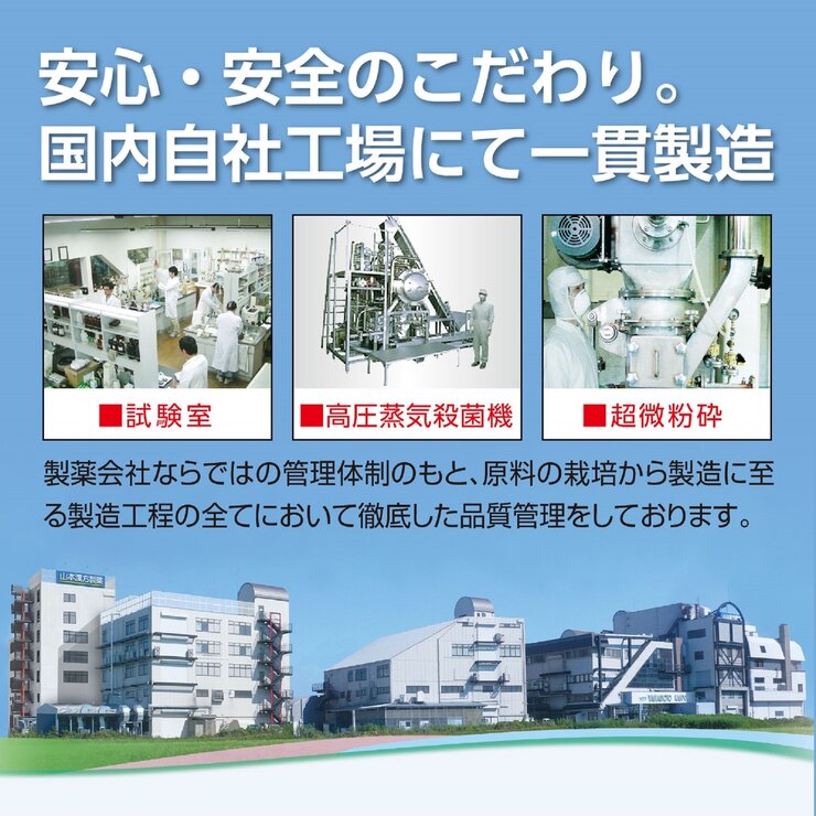 国産 無添加 100% オーガニック 青汁 3g x 156包入 <山本漢方製薬> 国産 無添加 100% オーガニック 青汁 3g x 156包入 <山本漢方製薬>