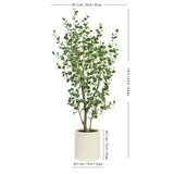 CG HUNTER 人工観葉植物 ユーカリ 約198cm