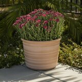 Trendspot Forum 樹脂製プランター 12寸 3個セット