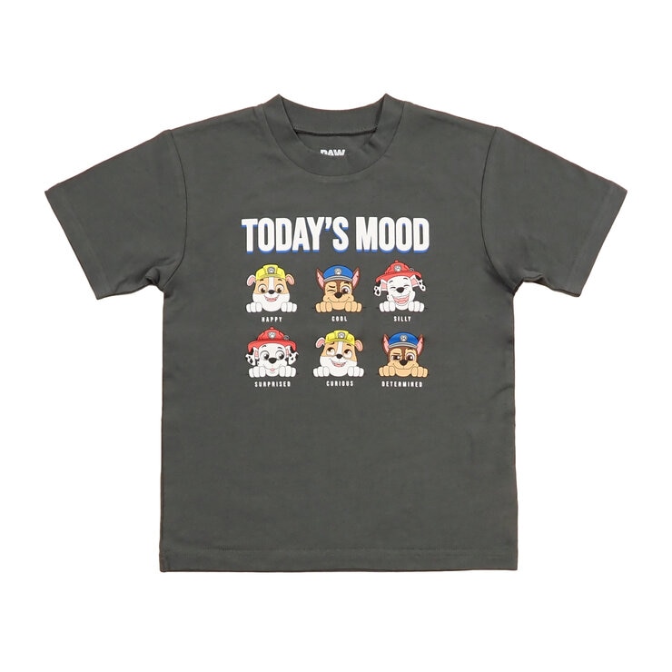 パウパトロール キッズ Tシャツ 4枚セット アソート B 95