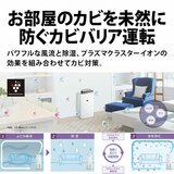 SHARP プラズマクラスター搭載コンプレッサ式除湿機 CV-S180-W