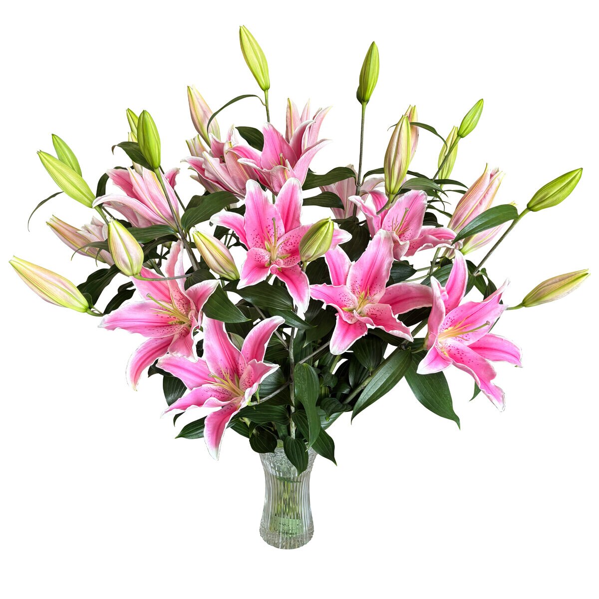 オリエンタル百合の花束 8本 ピンク 母の日期間配送 お届け日5月5日～5月10日