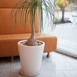 ヤマテー モダン PR1 マット釉 プランター 受け皿付き S 9号 26 x 36cm ホワイト ZZ-C13W09P
