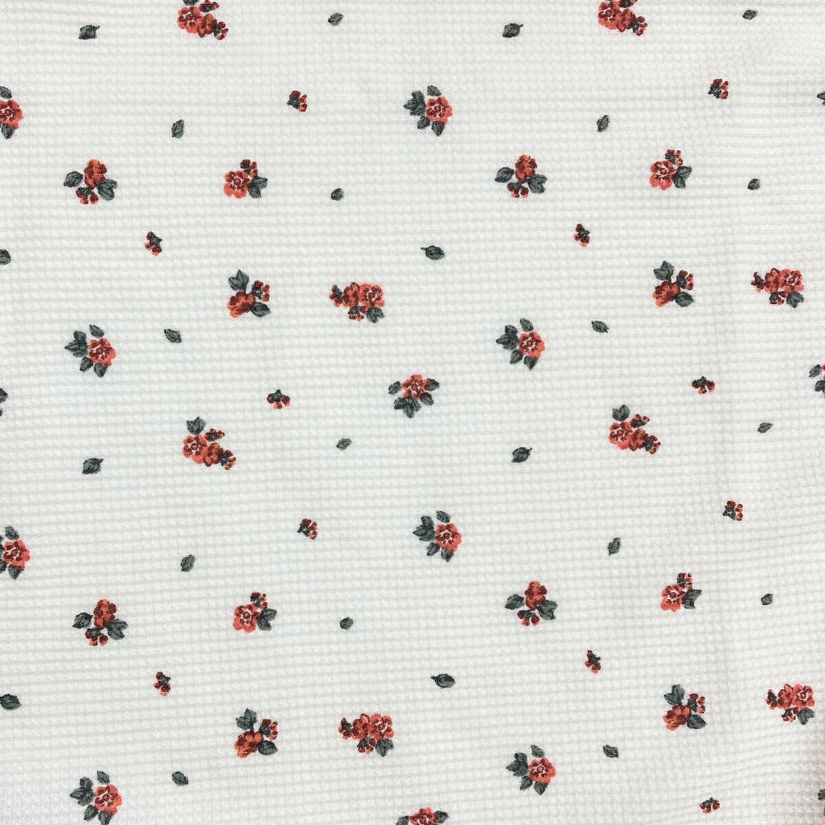 フルーツ オブ ザ ルーム 長袖 ラウンジウェアセット レッド L