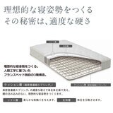 フランスベッド IQモンテカルロフレーム マットレス セット セミダブル グレー