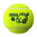 ダンロップ フォート テニスボール 60個入り