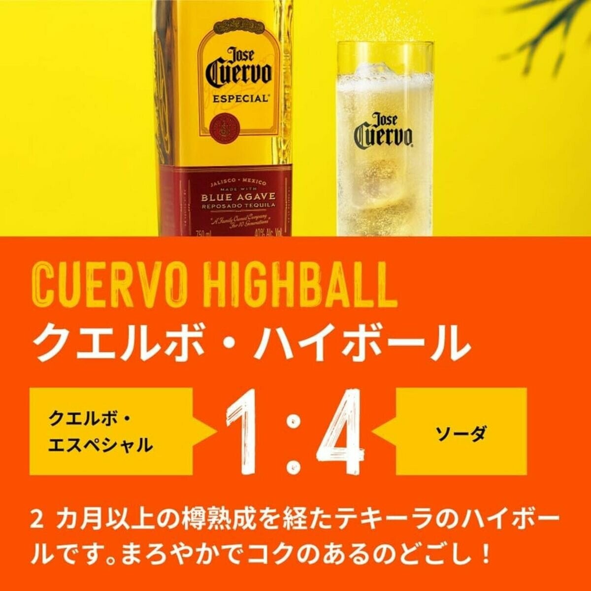 ホセ・クエルボ・エスペシャル・ゴールド 750ml ホセ・クエルボ・エスペシャル・ゴールド 750ml