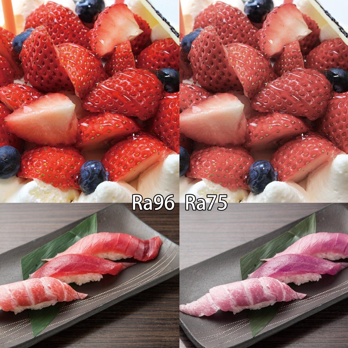 tollight PRO 充電式高演色LEDライト Ra96 800ルーメン スマホ ホルダー付 TL800-96-SH