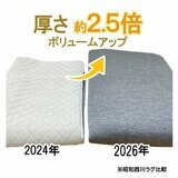 昭和西川 極厚冷感ラグ ネイビー
