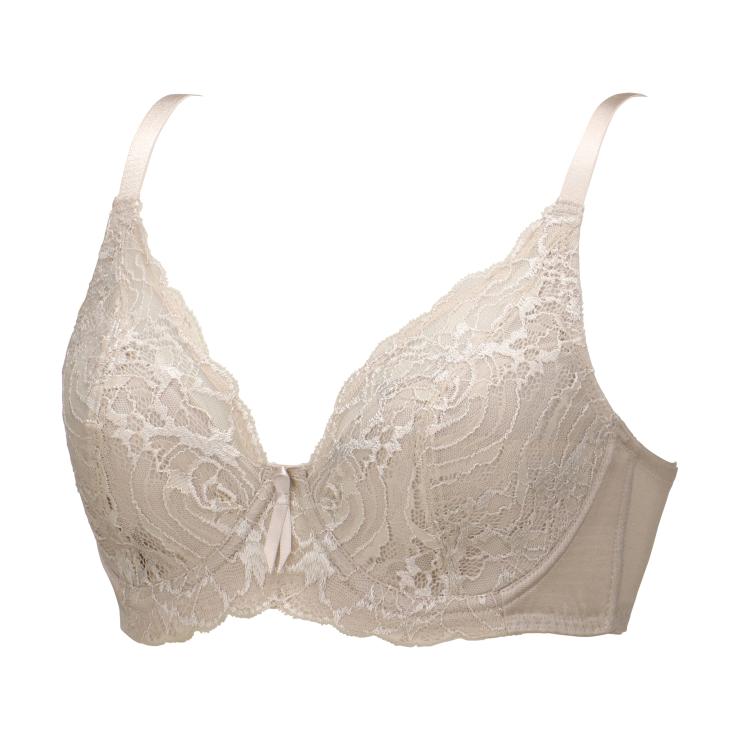 トリンプ・インターナショナル・ジャパン フルカップブラ グレー E80